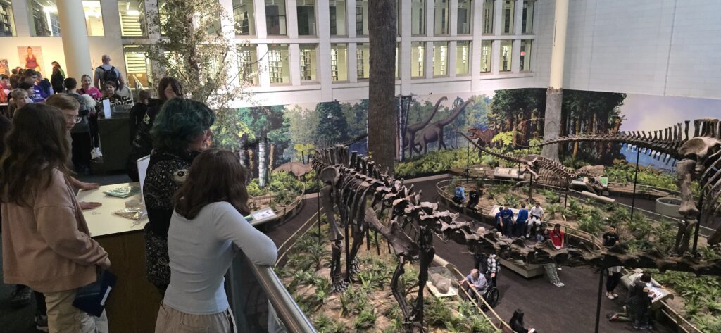 Students look over the dinosaurs