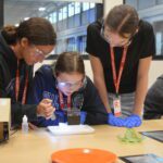 Students study something with focus and curiousity